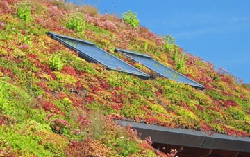 Glyndebourne living roof systems